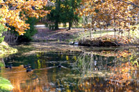 Walk Slideshow